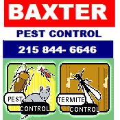 PEST CONTROL, Baxter Pest Control controls termites, mice, insects, bees, beetles, bed bugs and more; safely, fast and at a reasonable cost.