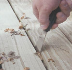 Clean Debris