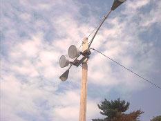 Outdoor Directed Lighting